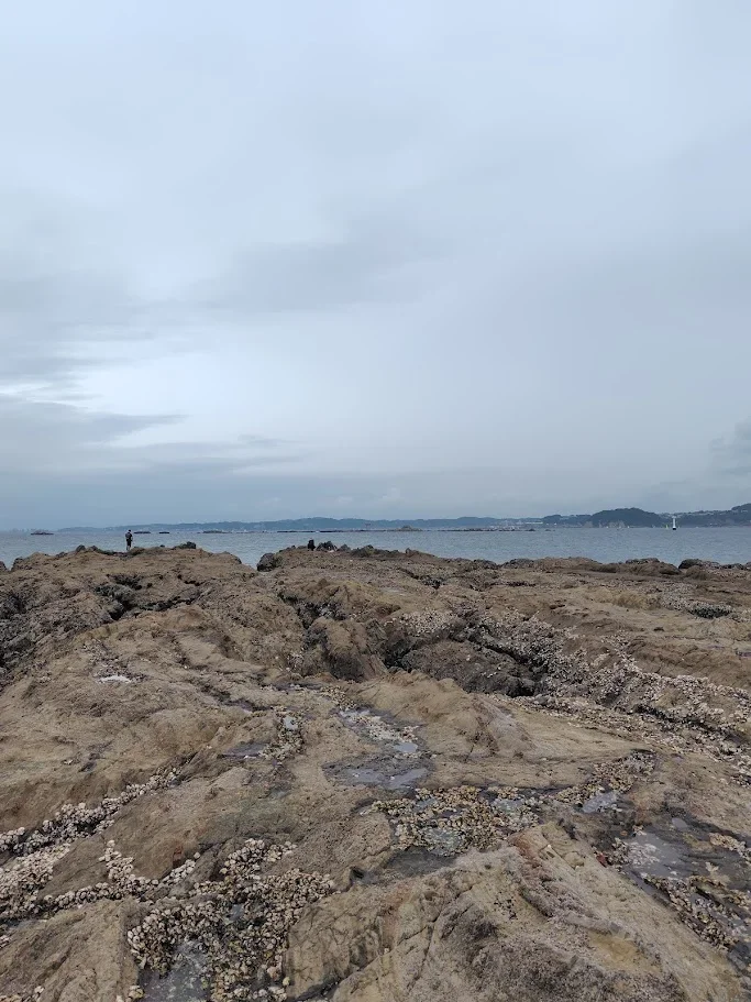 芝崎海岸先端の磯