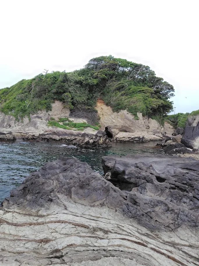 荒崎どんどんびき