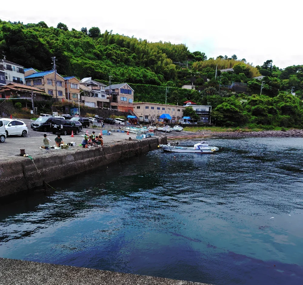 江之浦漁港の岸壁