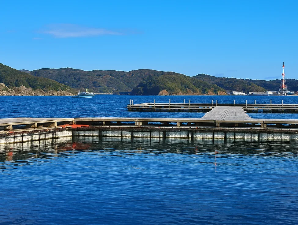 由良海つり公園釣り堀