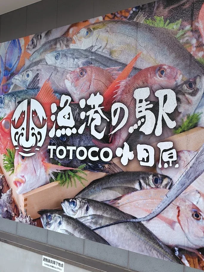 漁港の駅TOTOCO小田原