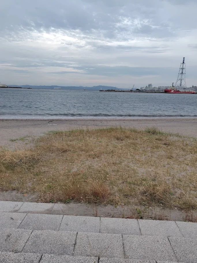 久里浜海岸の様子
