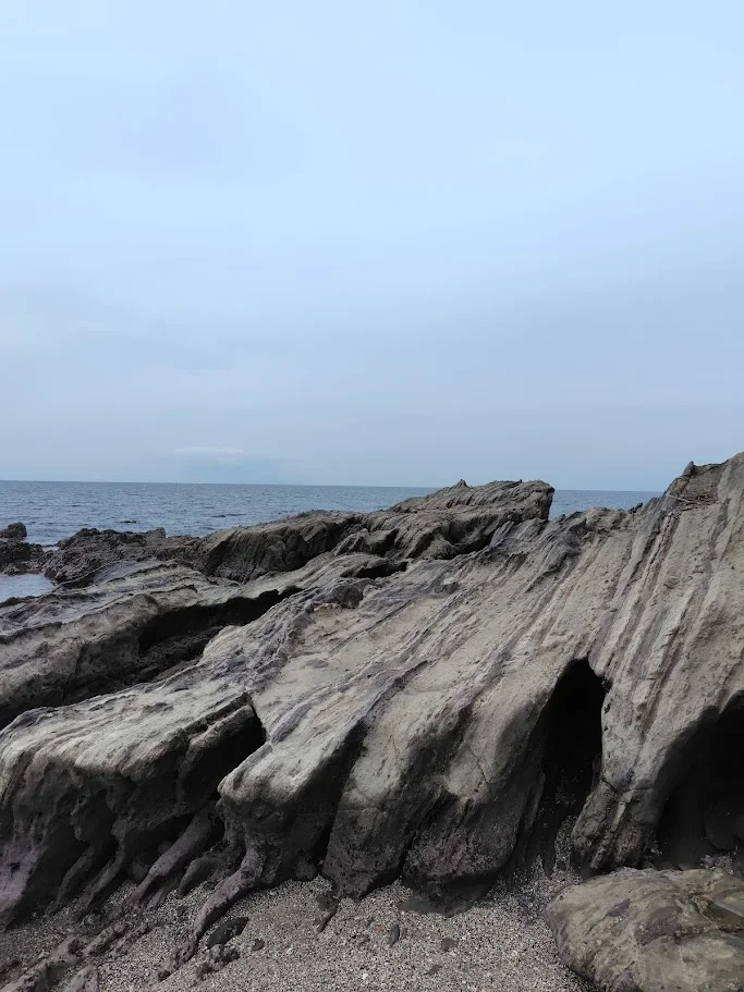荒崎弁天島周辺