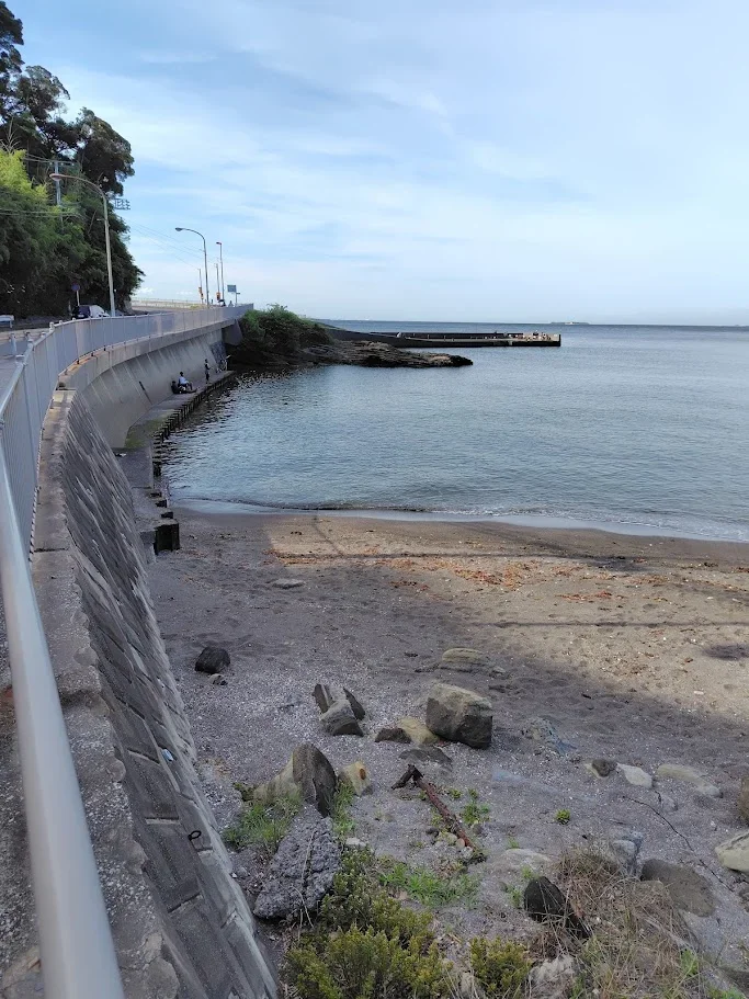 観音崎海岸横護岸で釣りをする人