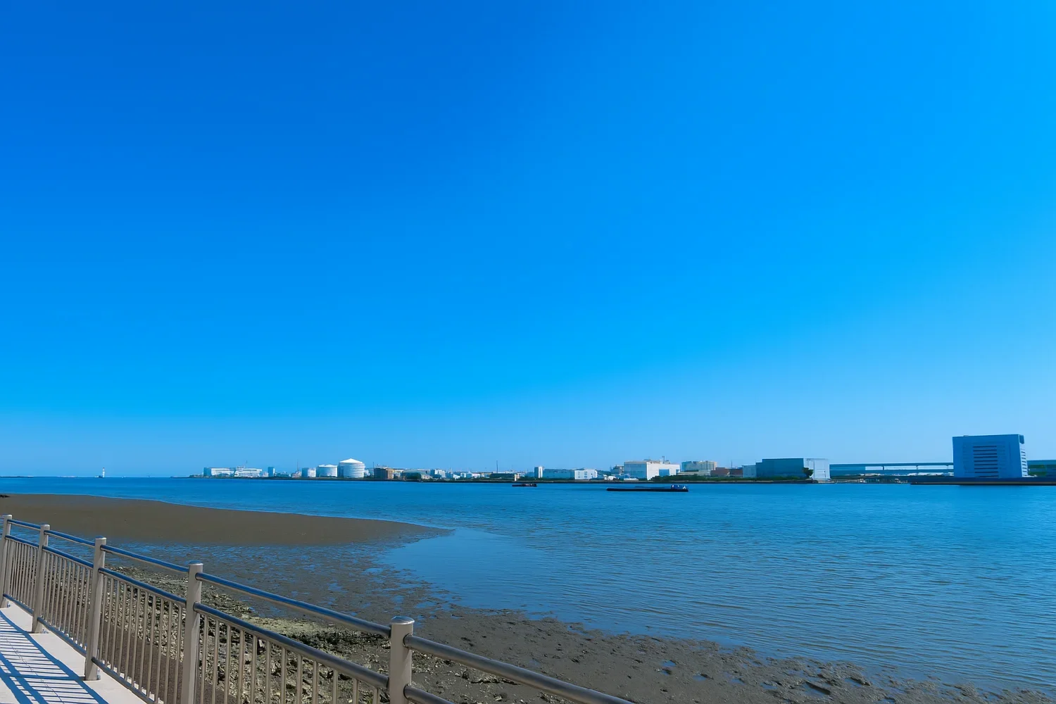 多摩川河口の様子