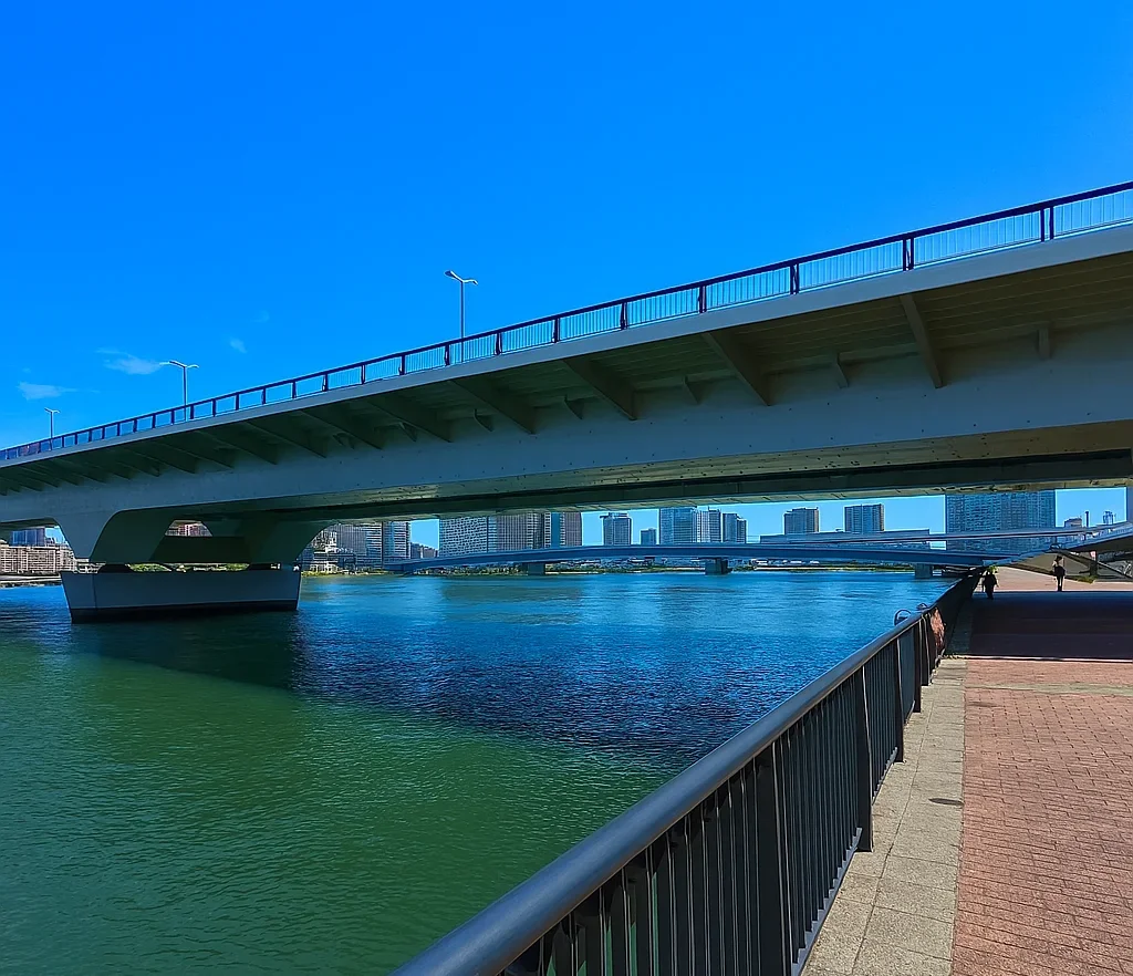 豊洲大橋付近の豊洲ぐるり公園