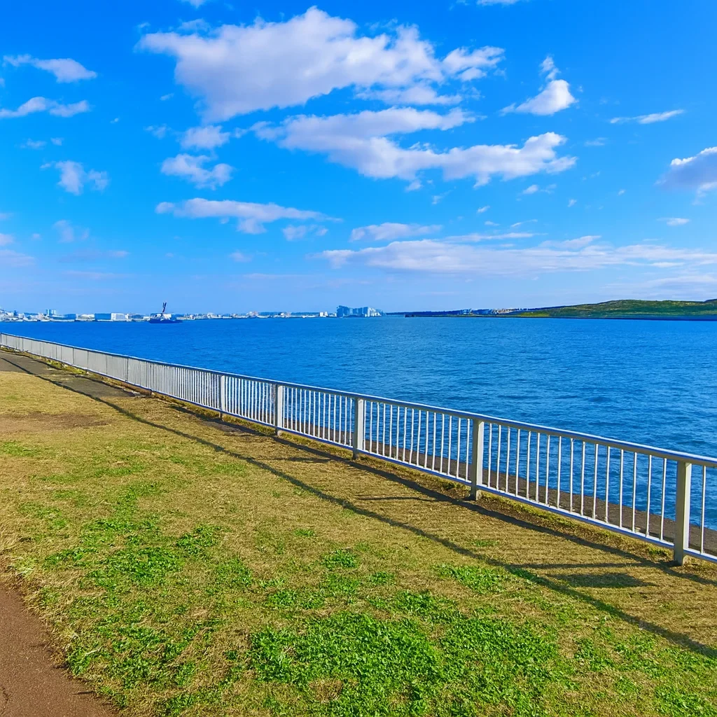 暁ふ頭公園の様子
