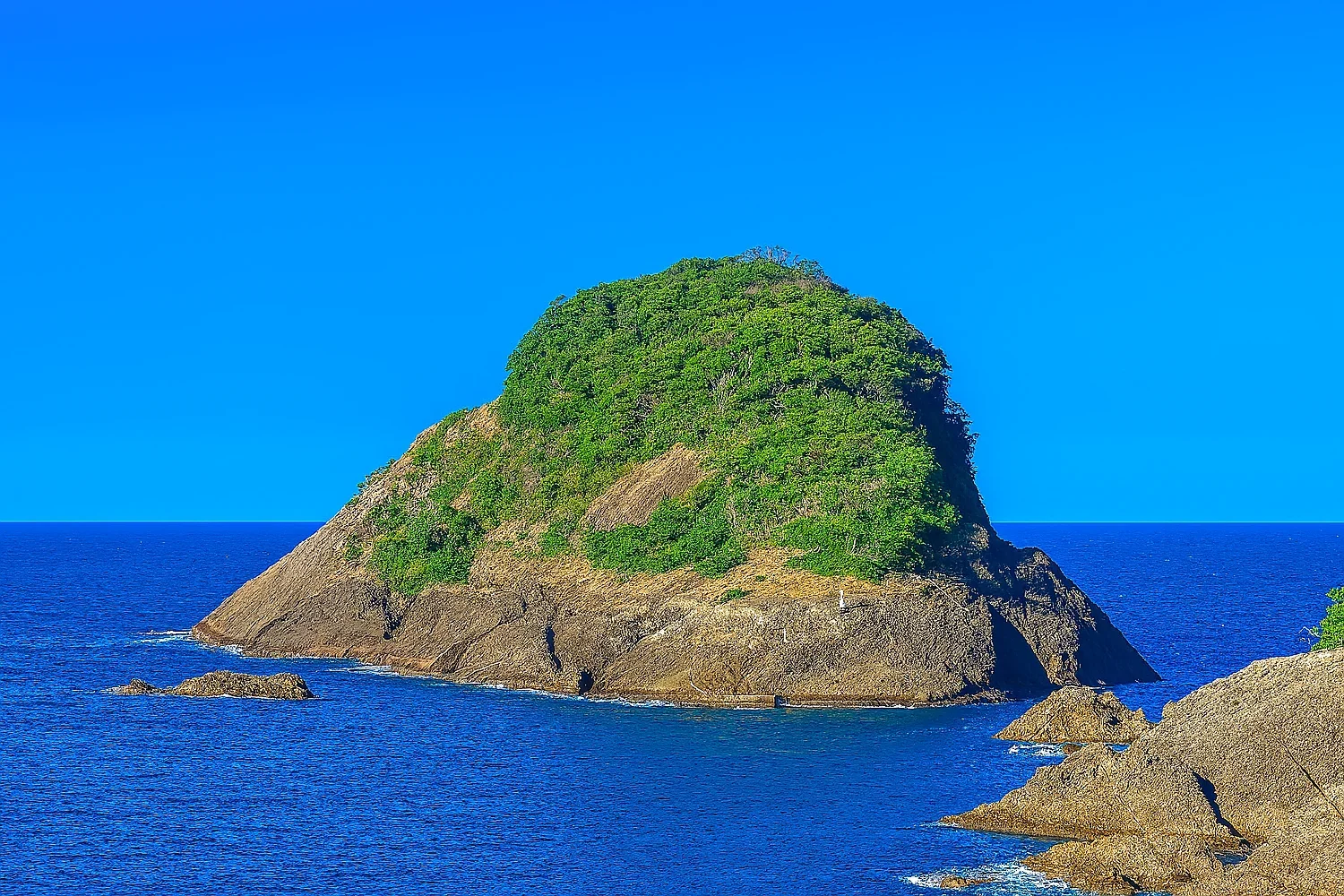 三尾大島の様子