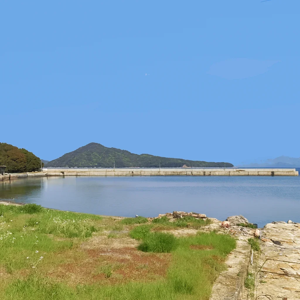 箱浦漁港の様子
