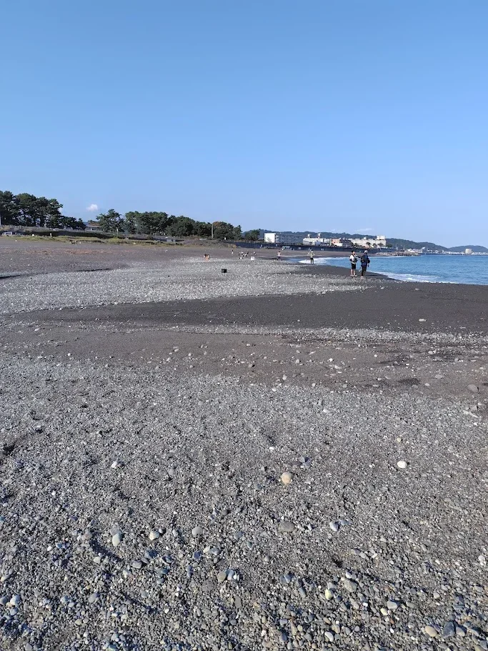 酒匂海岸の様子
