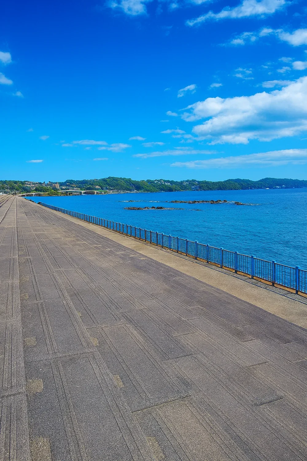 湯河原海浜公園西側の護岸