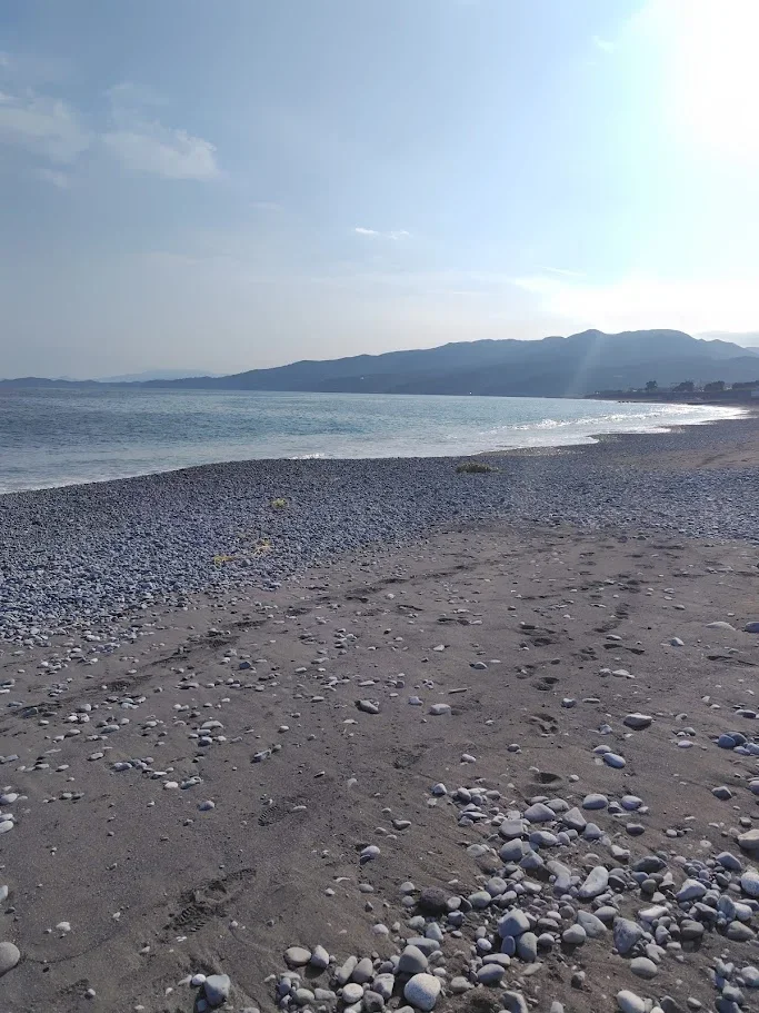 山王海岸の様子