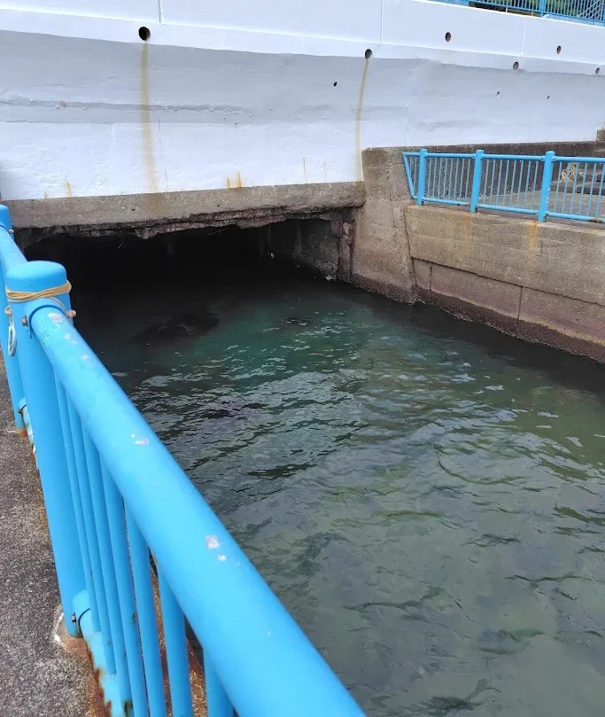 湯河原海浜公園中央部の河口