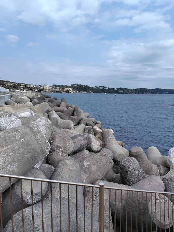 湯河原海浜公園のテトラ