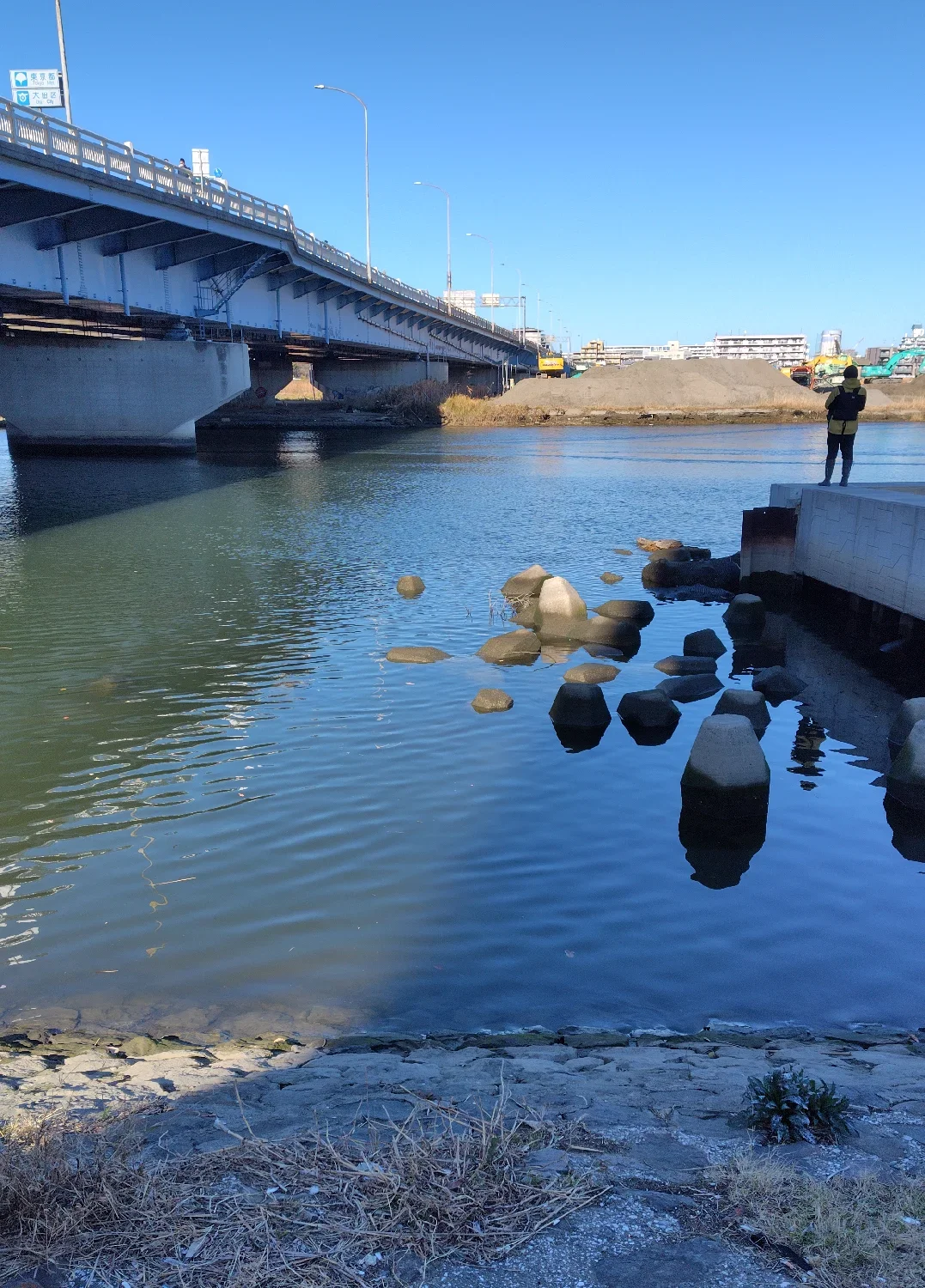 六郷橋付近の多摩川