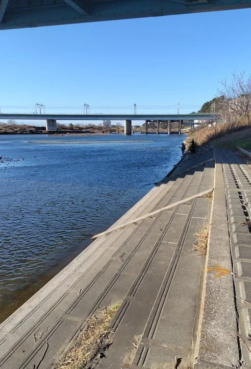 丸子橋下の多摩川