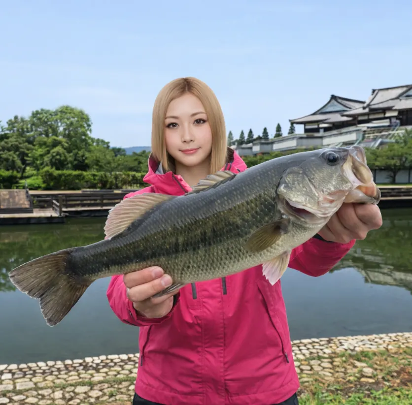 大江川でブラックバスの釣果を得た階下.webp