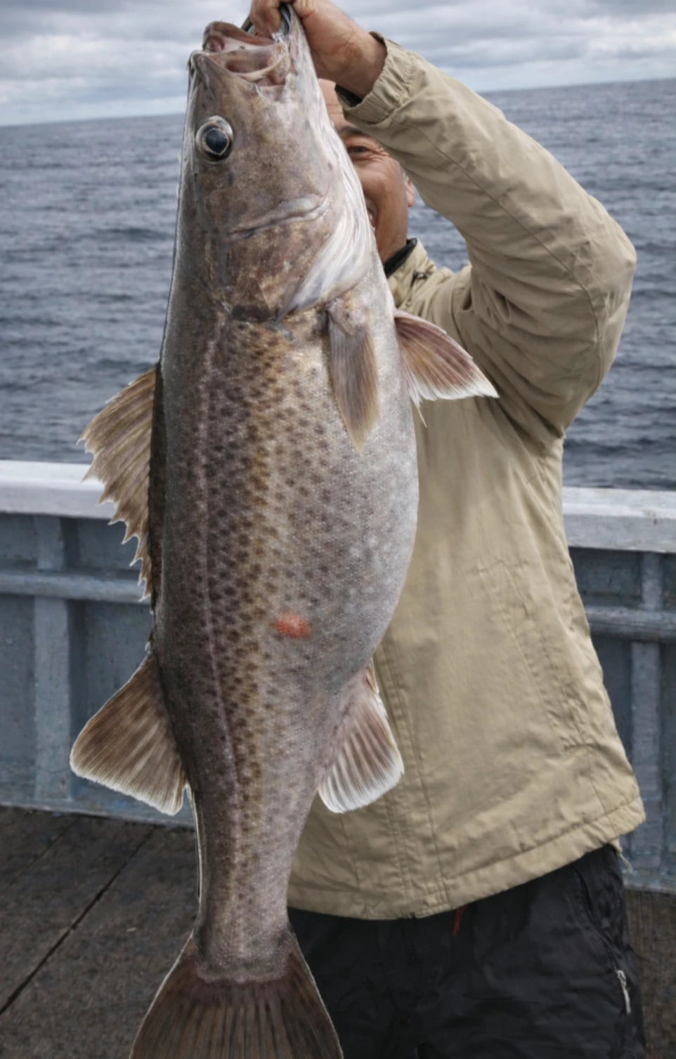 秋田沖でアラの釣果を得た田能村.webp