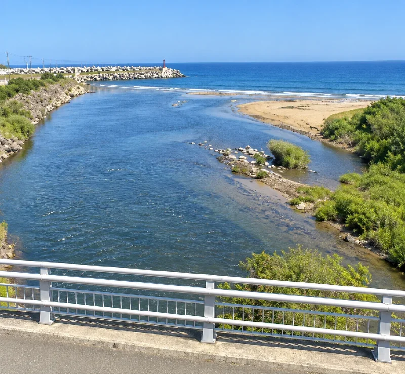 河口