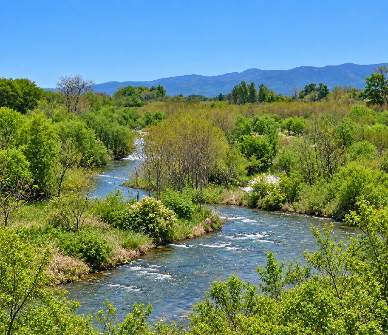 堀株川橋周辺