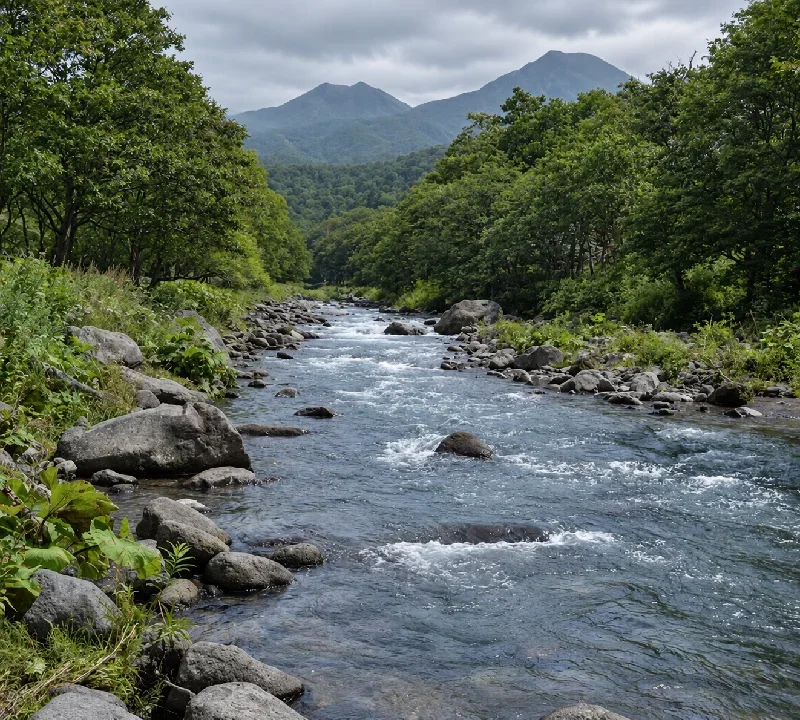 岩尾別橋周辺