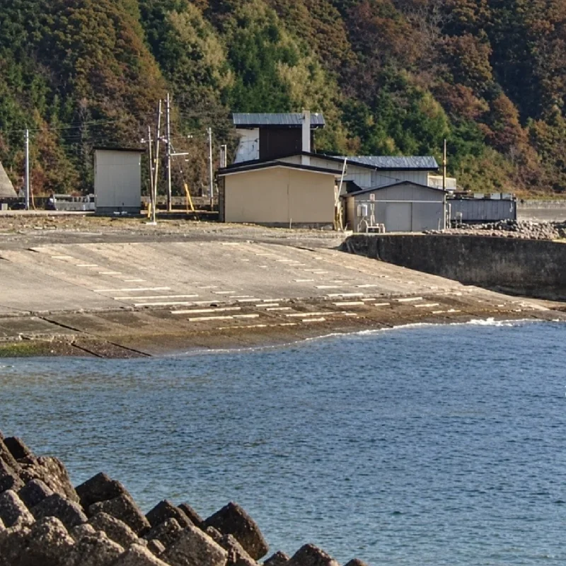 左岸