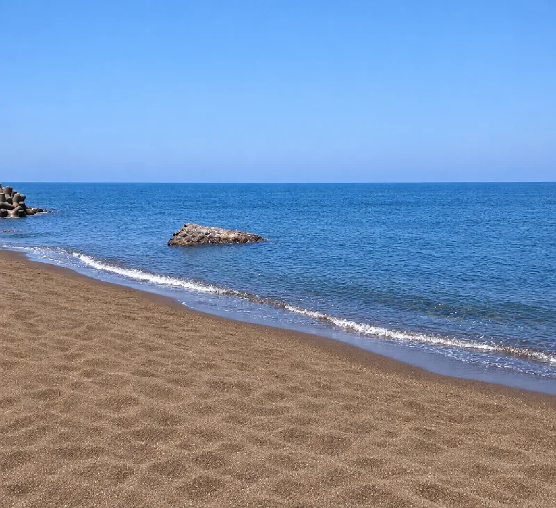 海水浴場周辺