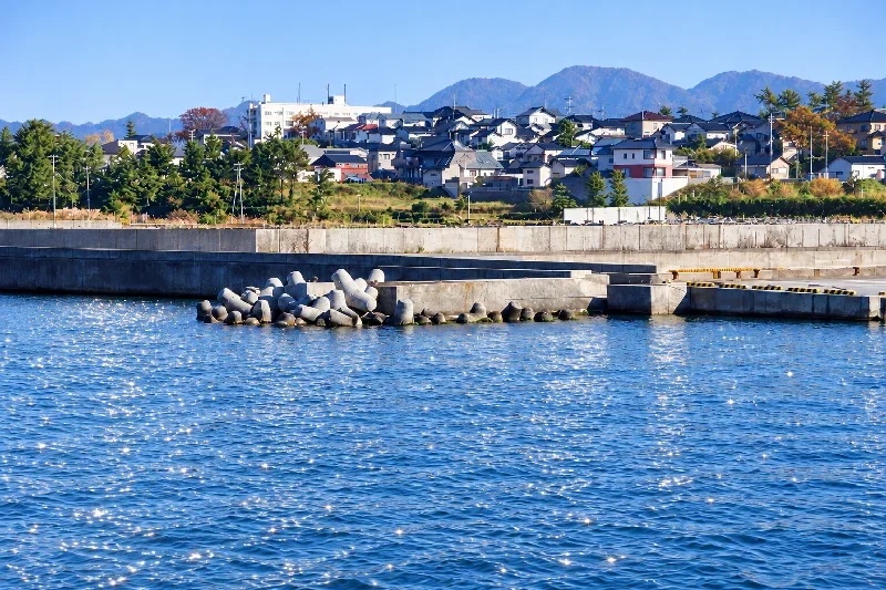 税関埠頭