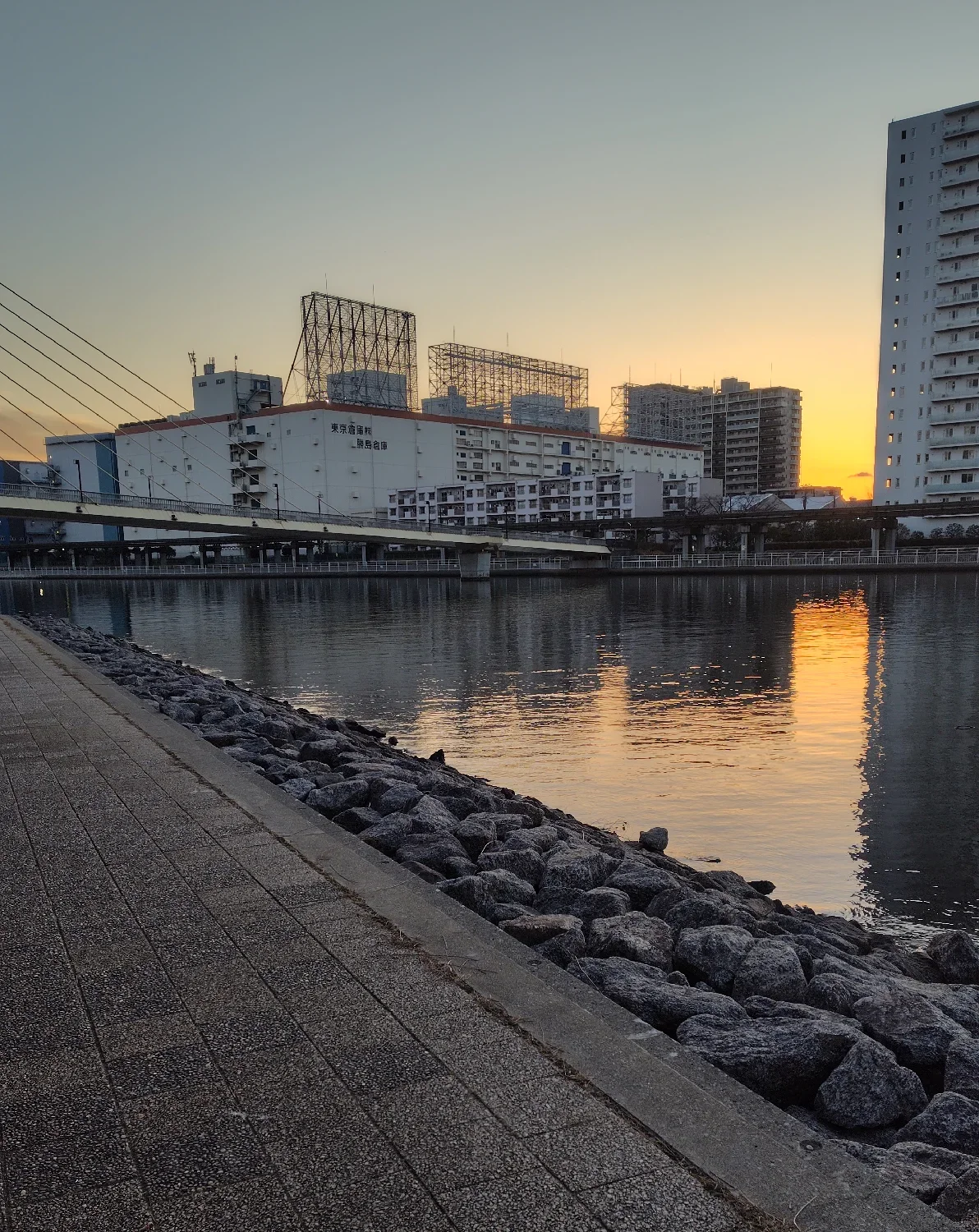 京浜運河緑道公園かもめ橋周辺の様子