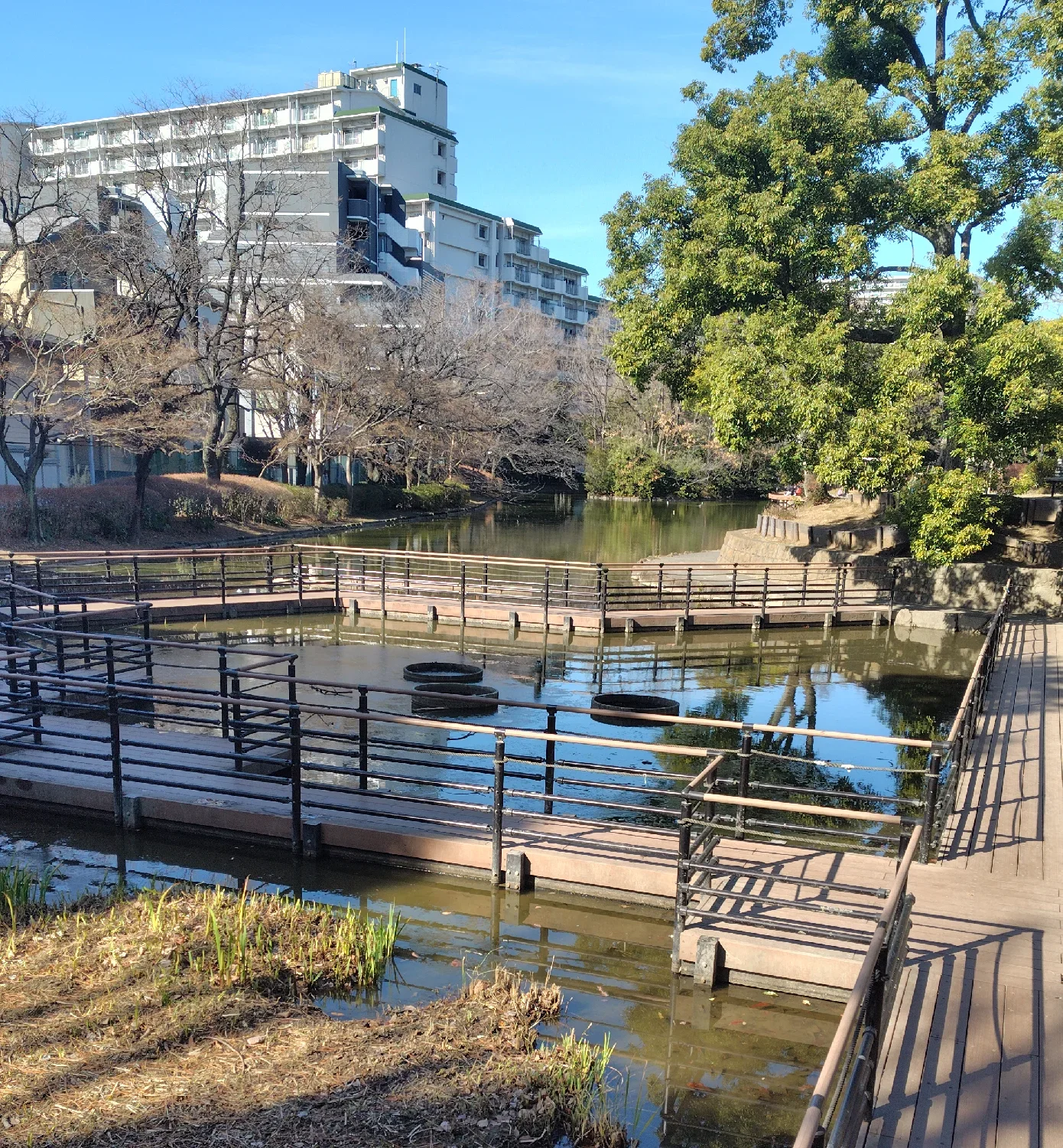 ひょうたん池の様子