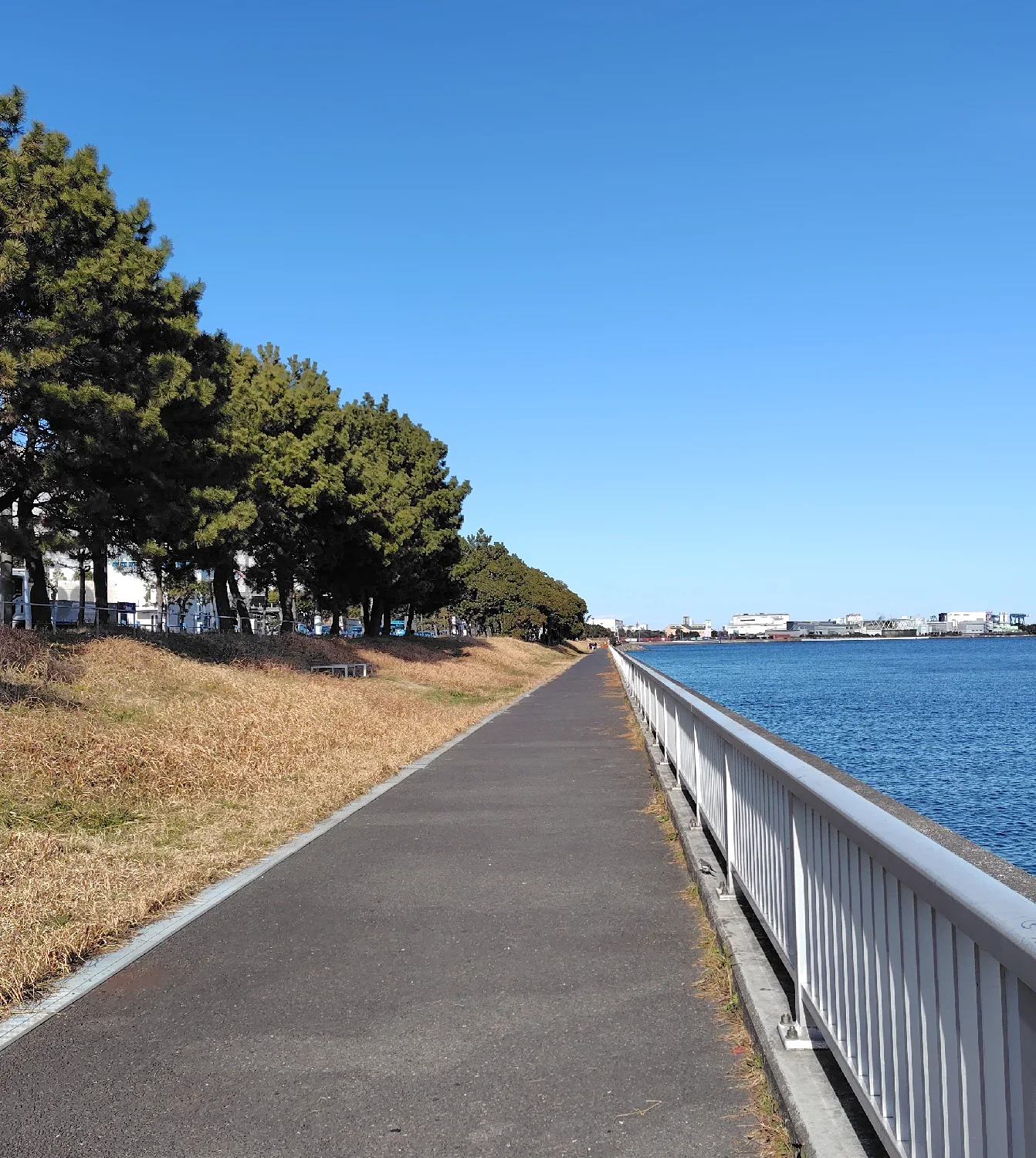 京浜島つばさ公園の様子
