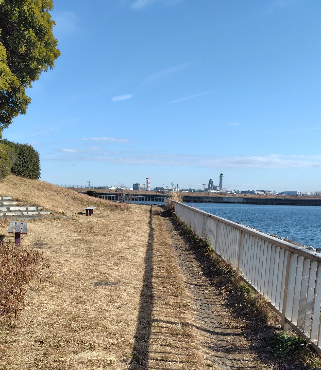 京浜島緑道公園の様子