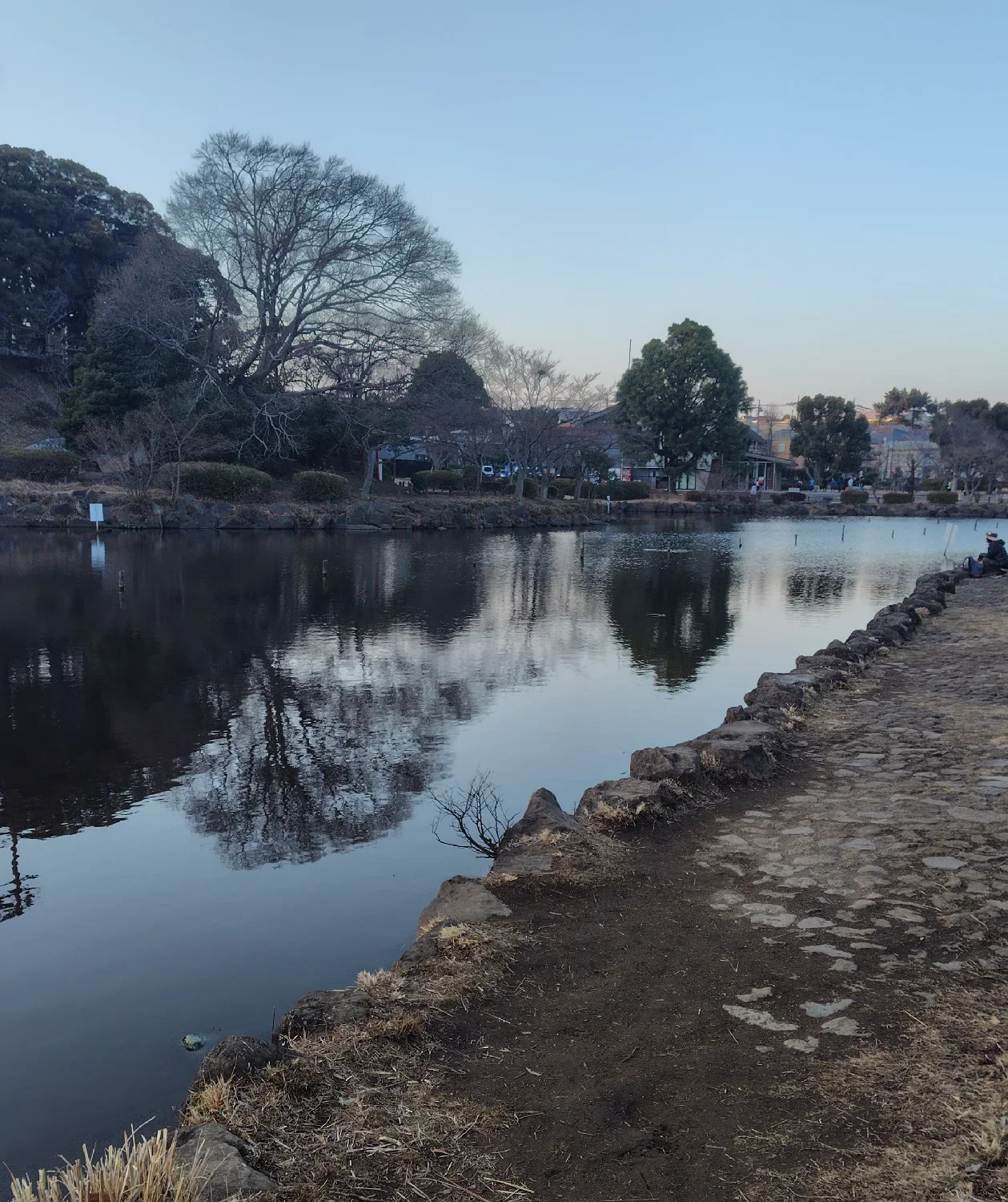 こども自然公園大池の様子
