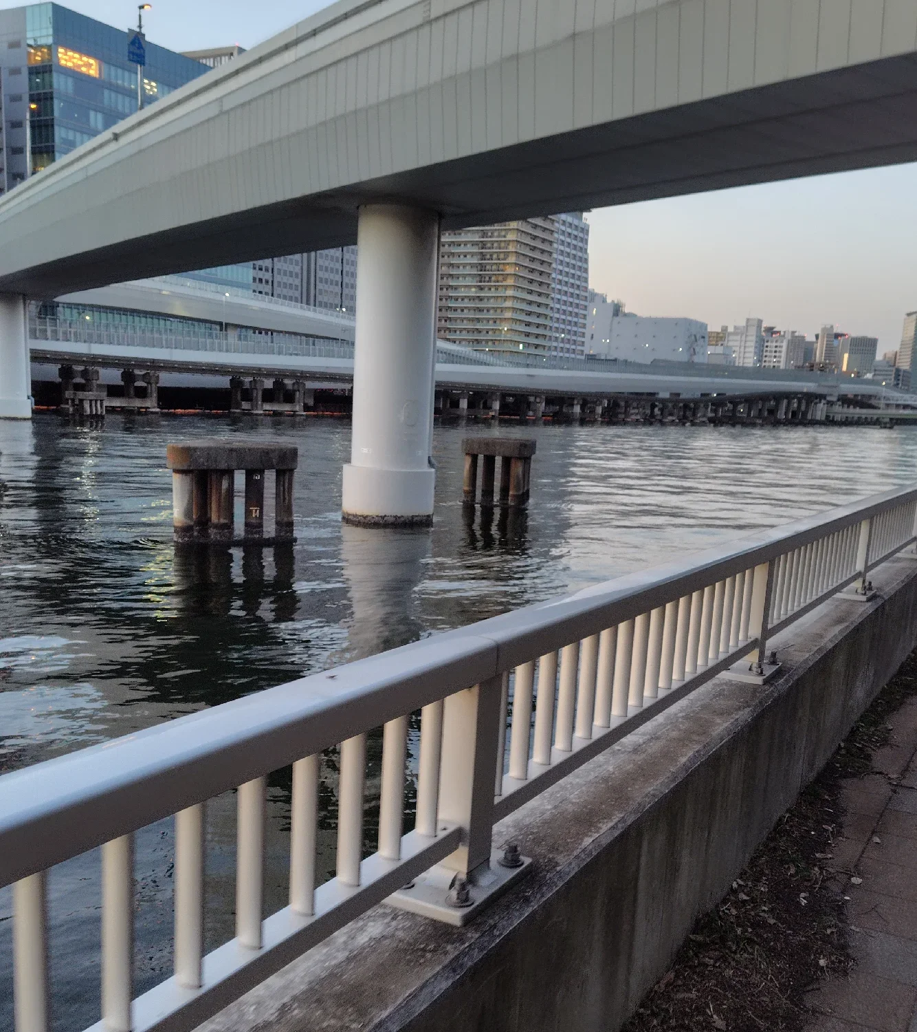京浜運河緑道公園八潮橋付近の様子