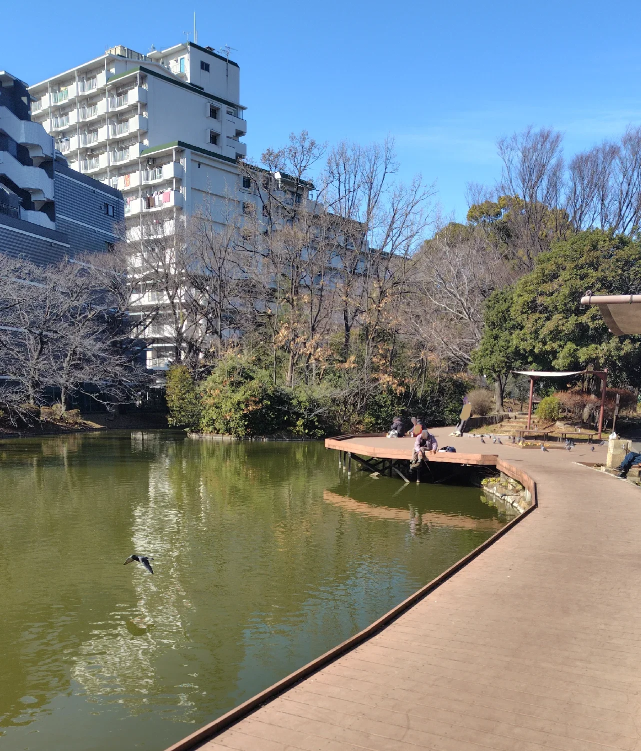 ひょうたん池での釣りの様子