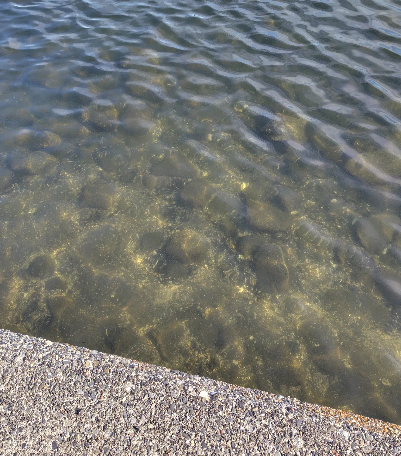京浜島つばさ公園の海底