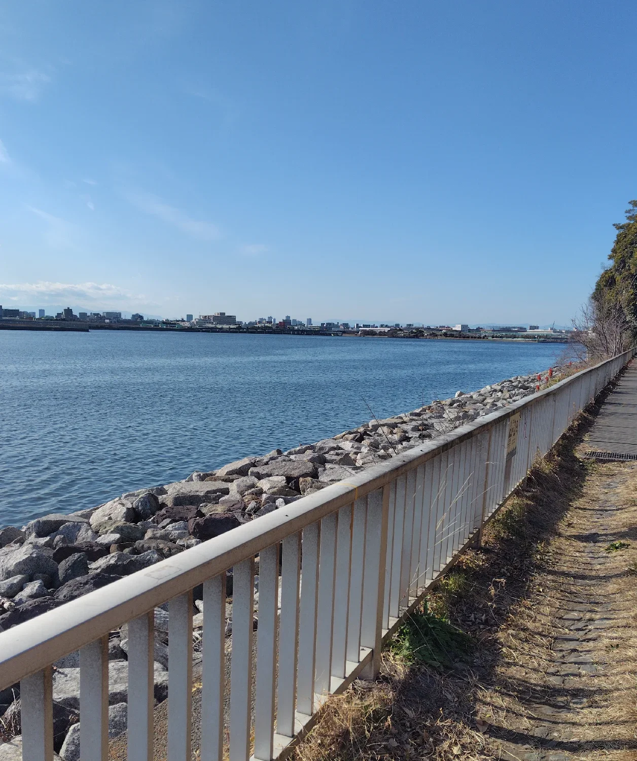 京浜島緑道公園の釣りポイント