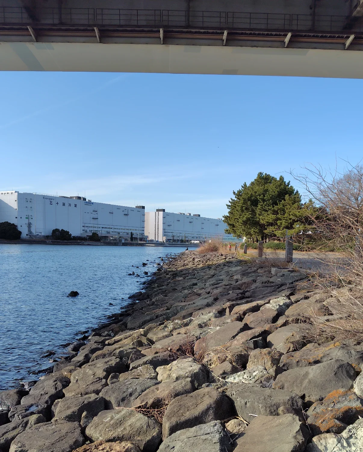 東海ふ頭公園西側の様子