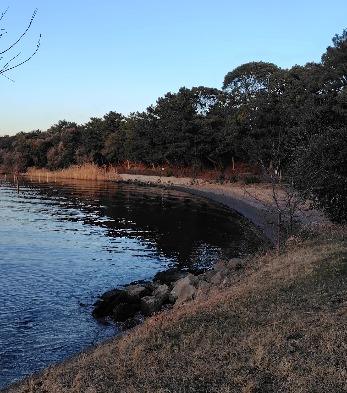 大井ふ頭中央海浜公園夕やけなぎさの様子