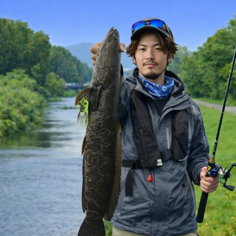 創成川でライギョの釣果を得た澤田.webp