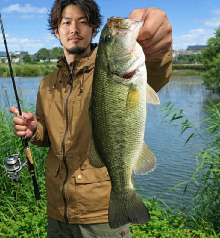堅田内湖でブラックバスの釣果を得た澤田.webp