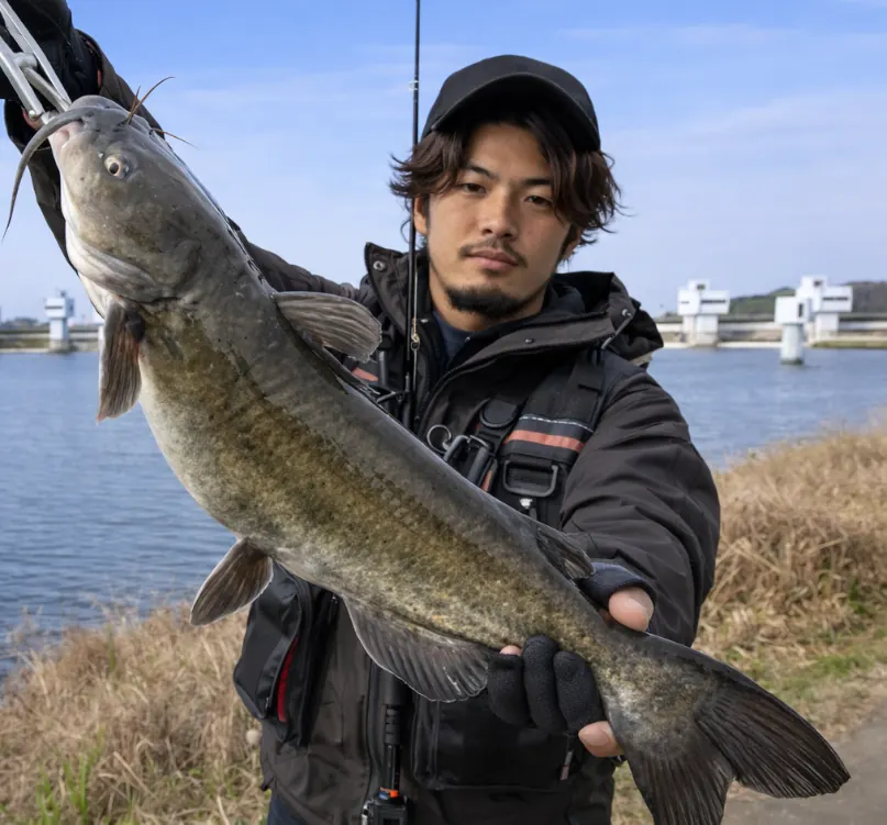 小貝川でアメリカナマズの釣果を得た澤田.webp
