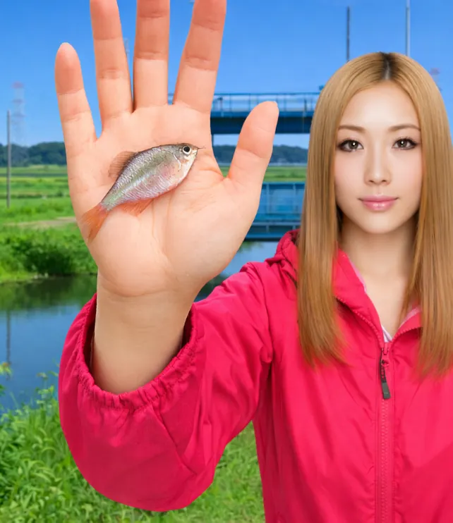 新木水路でタナゴの釣果を得た階下.webp