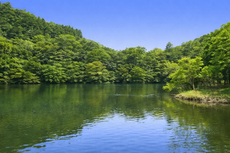 亀山ダム白鳥島付近の様子