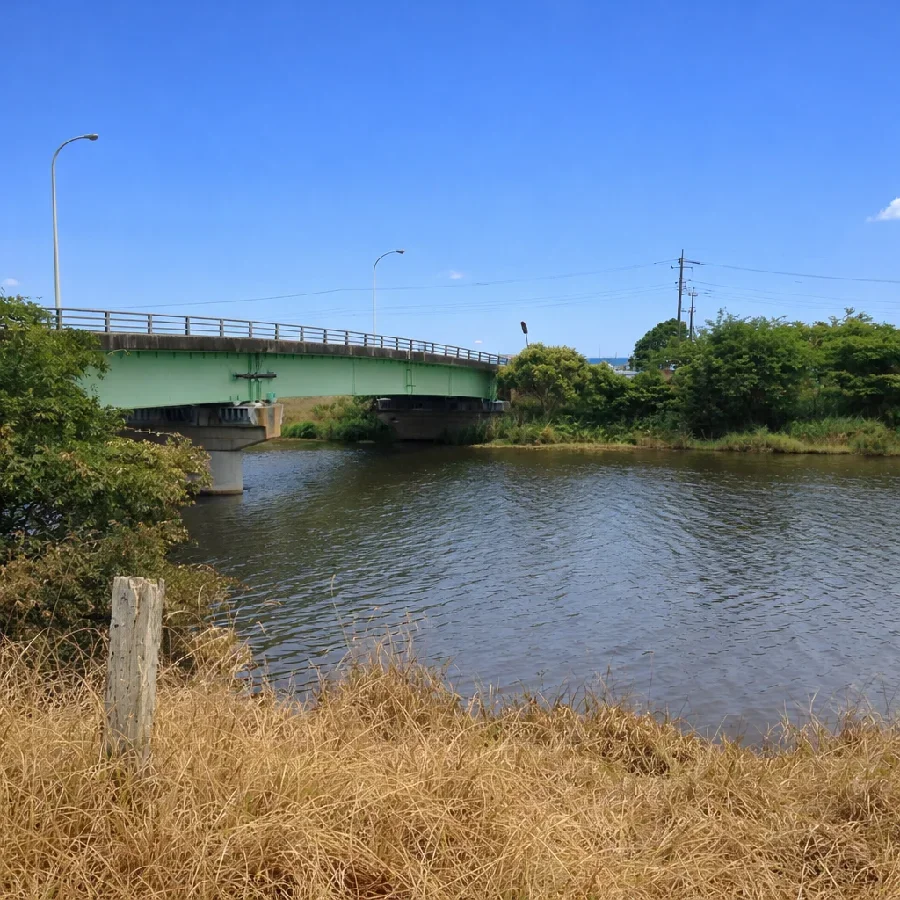 新利根川幸田橋付近の様子