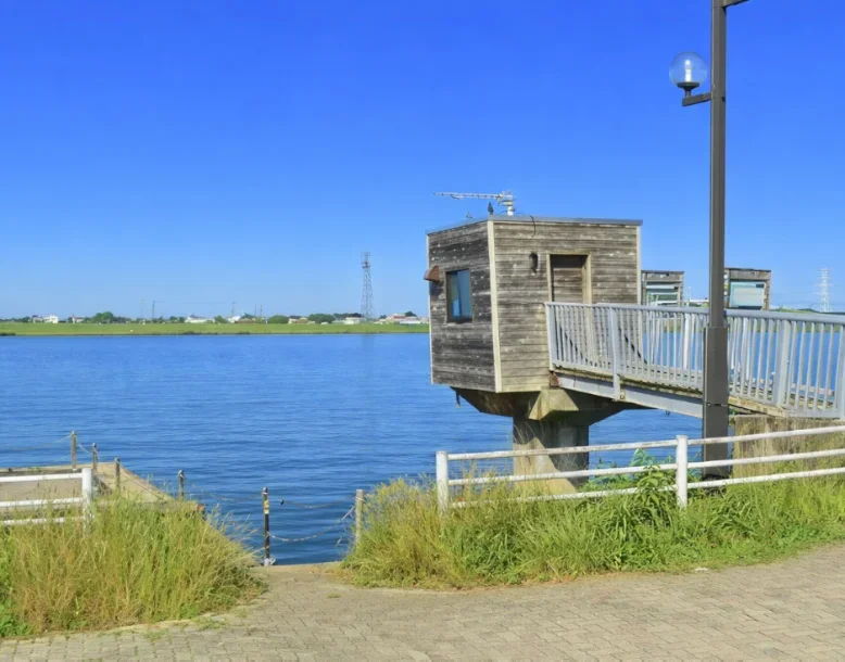 常陸利根川水郷北斎公園付近