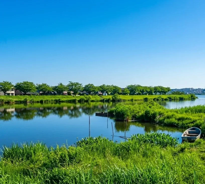 霞ヶ浦桜川河口の様子