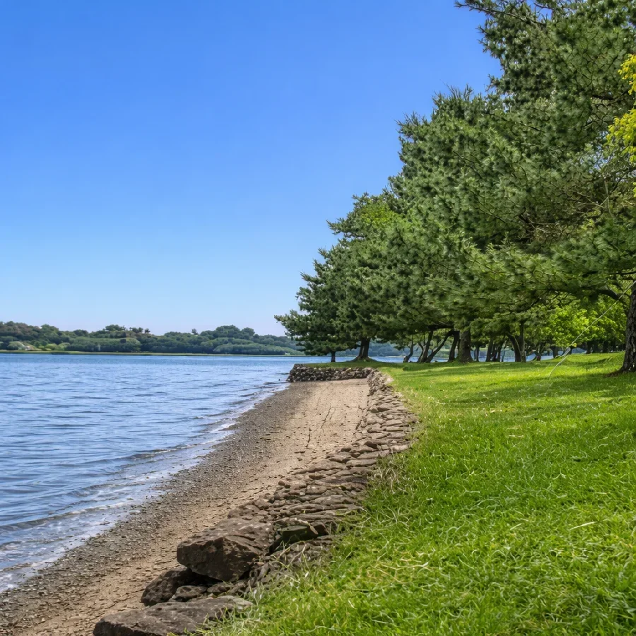 涸沼親沢公園の様子