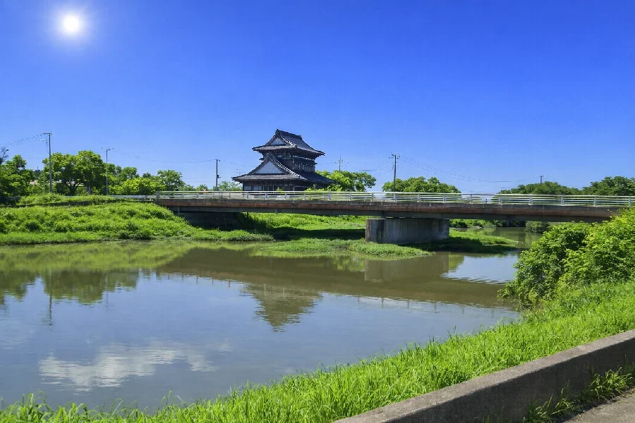 浄玄橋付近の新利根川