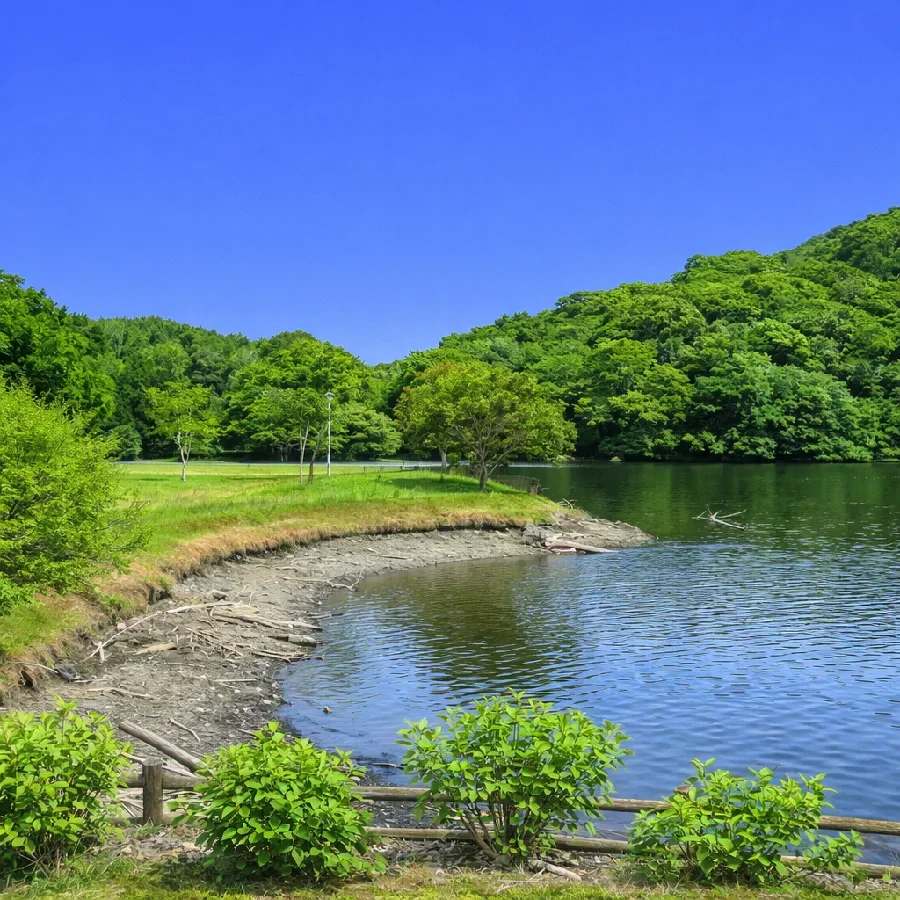 亀山湖畔公園押込地区の様子